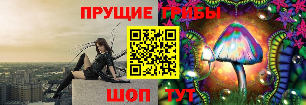 Галлюциногенные грибы мицелий  наркотики  Дивногорск  Вход с VPN 